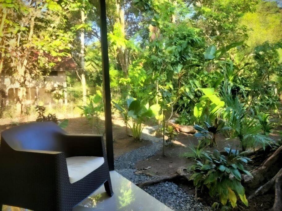 فيلا Luba House Puerto Jiménez المظهر الخارجي الصورة